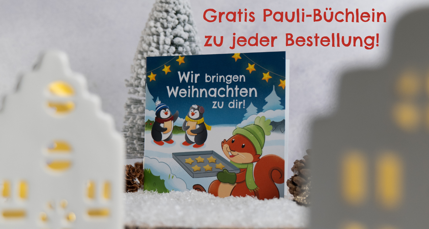 PAEDIPROTECT Weihnachtsbüchlein im Winterliche Setting